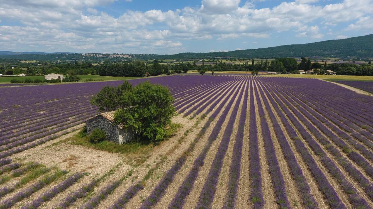 Frühstückspension La Bastide Des Bourguets Adults Only, Mont Ventoux 4*