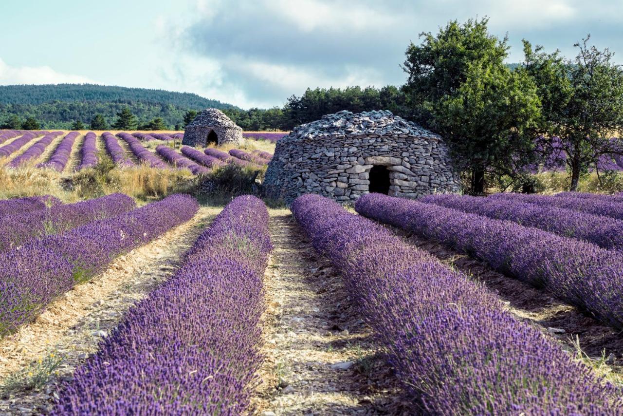 La Bastide Des Bourguets Adults Only, Mont Ventoux Sault-de-Vaucluse